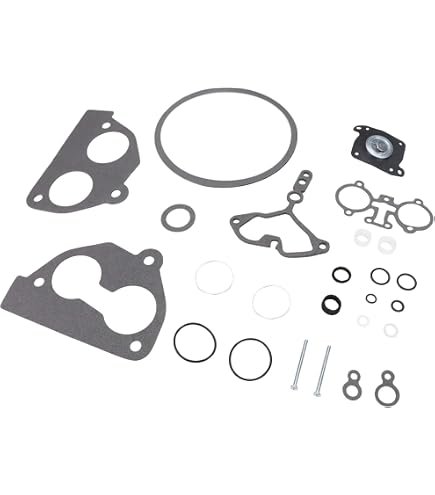 Amazon.com: FRGOLIN Throttle Body Gasket Kit TBI 219-607 Rebuild